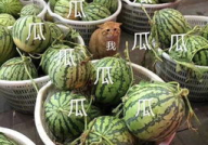 娱乐吃瓜的头像,吃瓜群众眼中的明星幕后故事
