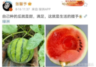 娱乐圈哪里吃瓜好吃,揭秘各大热门地点的“吃瓜”美食攻略